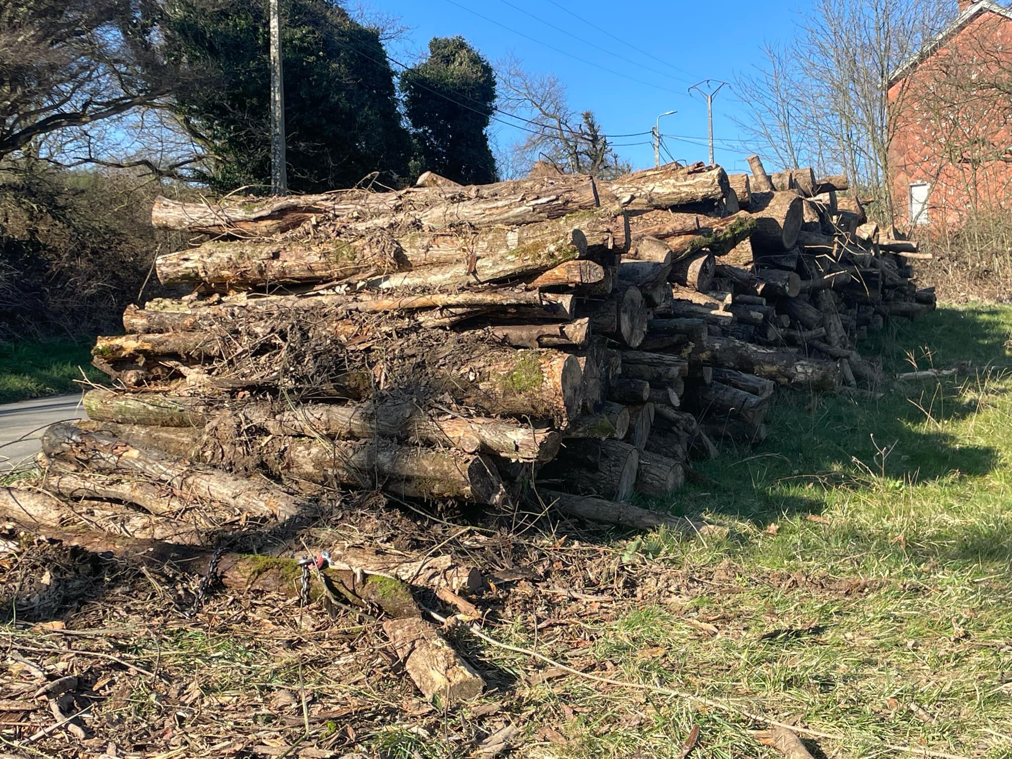 Bois de chauffage